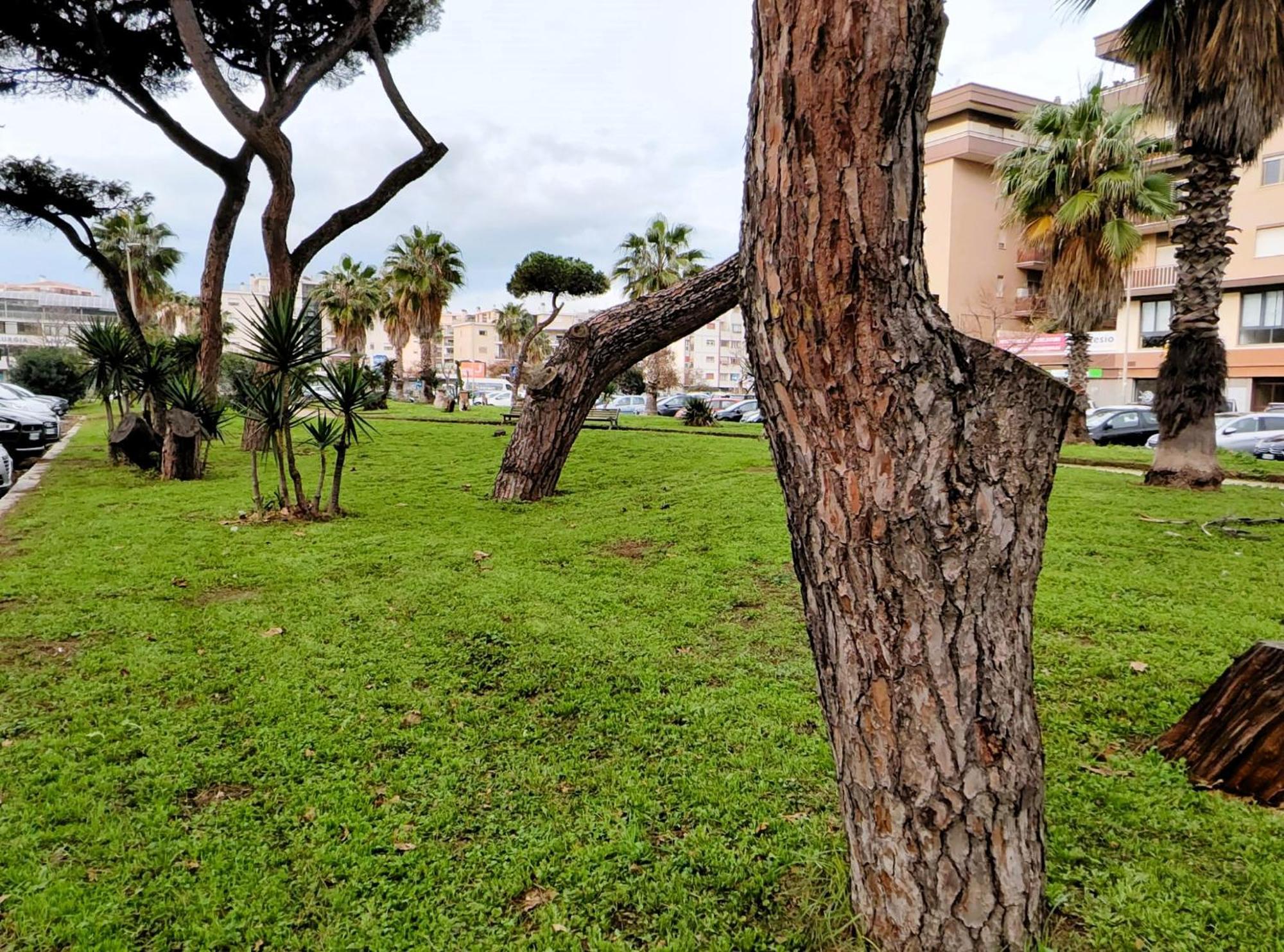 Apartamento Euforbia House Lido di Ostia Exterior foto